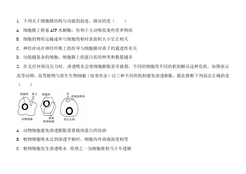 人教版高三下学期校测三理综生物试题(原卷版)