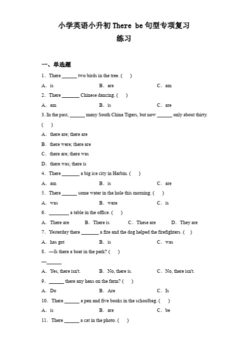 小升初英语专项复习-There be句型 练习及答案