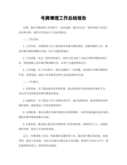 号牌清理工作总结报告