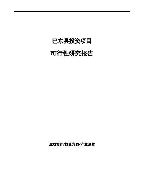 巴东县项目可行性研究报告(立项模板)