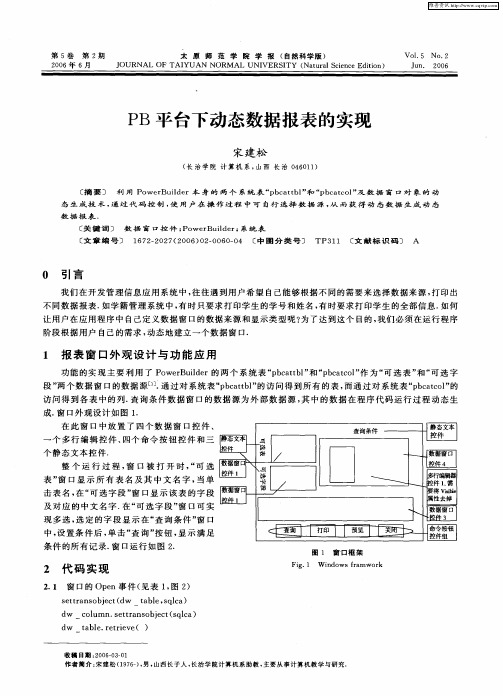 PB平台下动态数据报表的实现