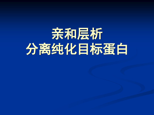 实验八  亲和层析分离纯化蛋白质(14)