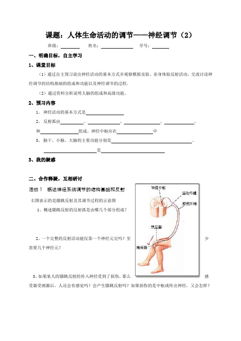 江苏省大丰市新丰中学高中生物必修三2.2人体生命活动的调节——神经调节(2) 导学案(无答案)