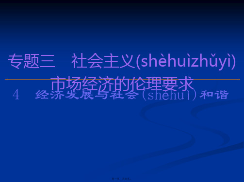 政治选修六课件专题经济发展与社会和谐