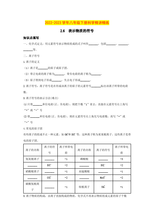 2.6表示物质的符号(原卷版+解析)