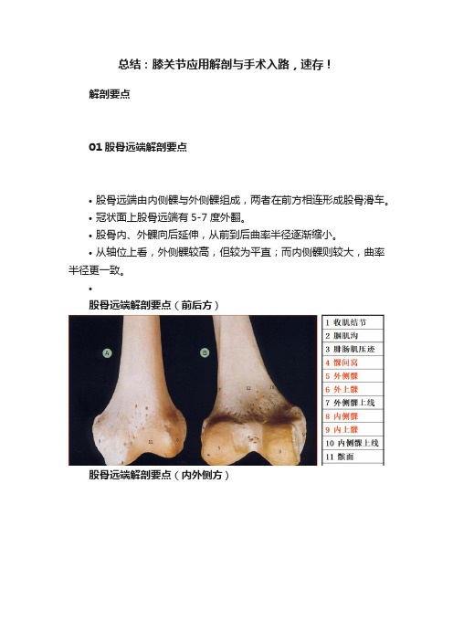 总结：膝关节应用解剖与手术入路，速存！