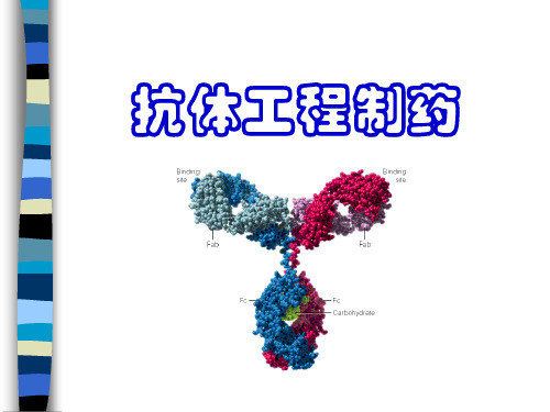 4.抗体制药