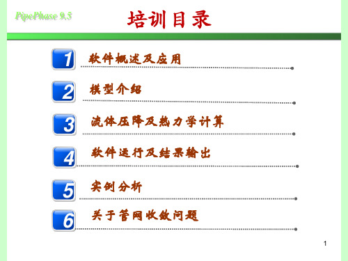 Pipephase9.5培训讲义
