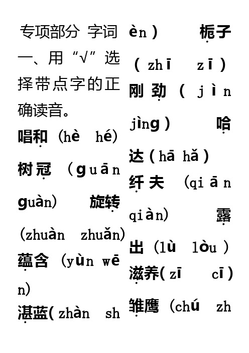 人教版六年级上册语文复习字词专项练习