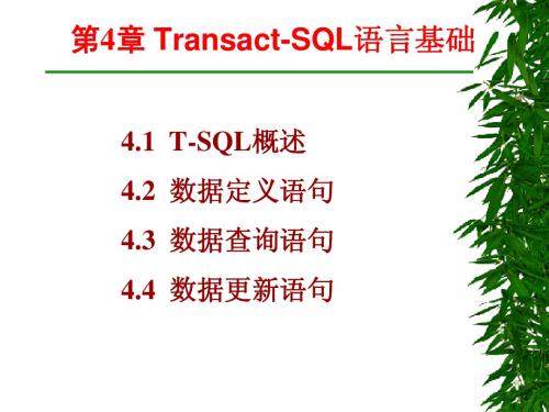 第4章 Transact-SQL语言基础