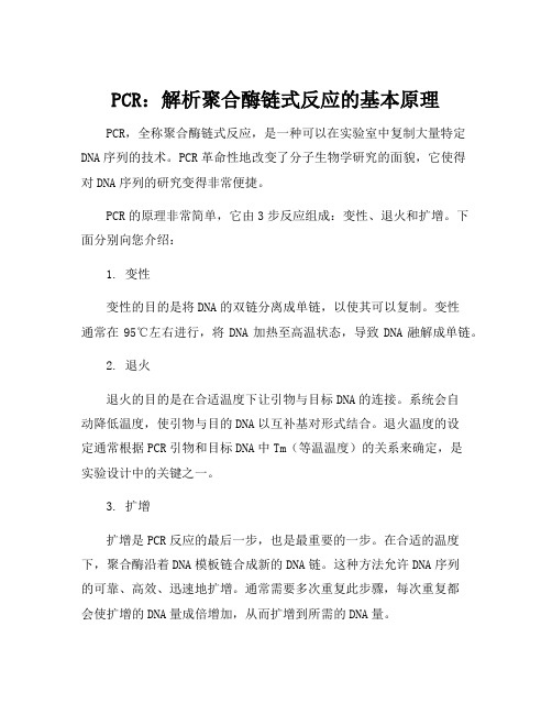 聚合酶链式反应的基本原理