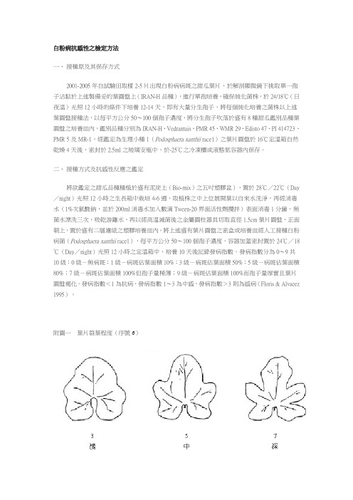 甜瓜品种性状表