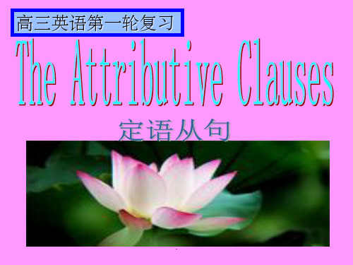 定语从句优质课完整PPT课件