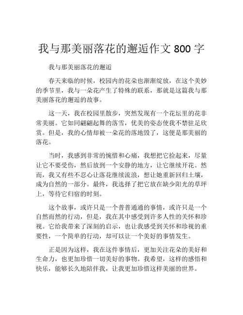 我与那美丽落花的邂逅作文800字