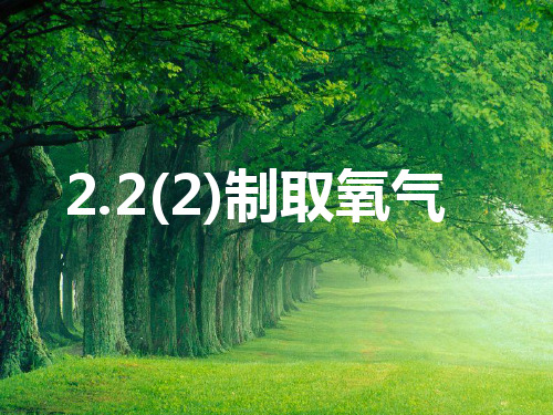 沪教课标版九年级化学上册 2.2神奇的氧气 (1)