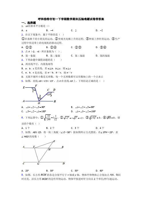 呼和浩特市初一下学期数学期末压轴难题试卷带答案