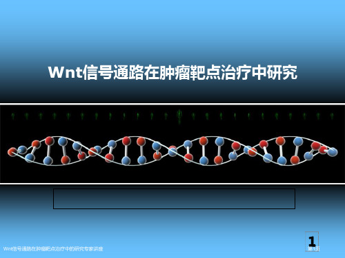 Wnt信号通路在肿瘤靶点治疗中的研究专家讲座