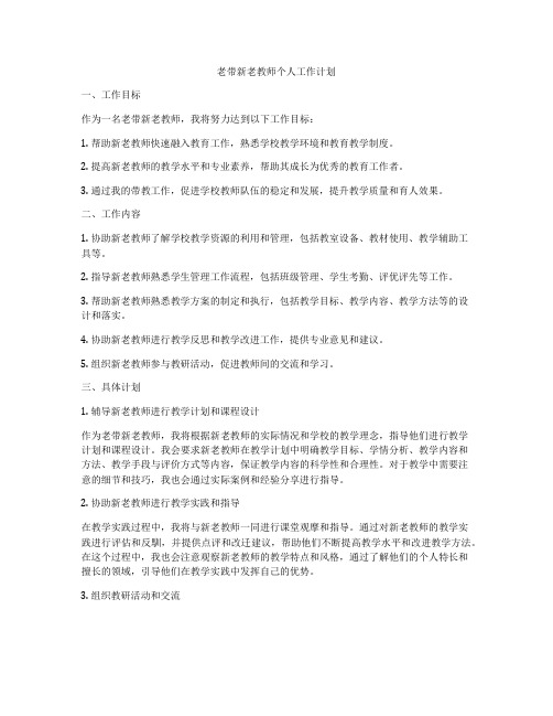 老带新老教师个人工作计划