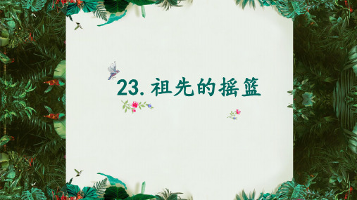 23 祖先的摇篮 课件(共42张PPT)