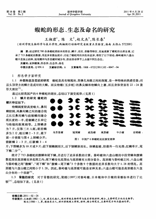 蝮蛇的形态、生态及命名的研究