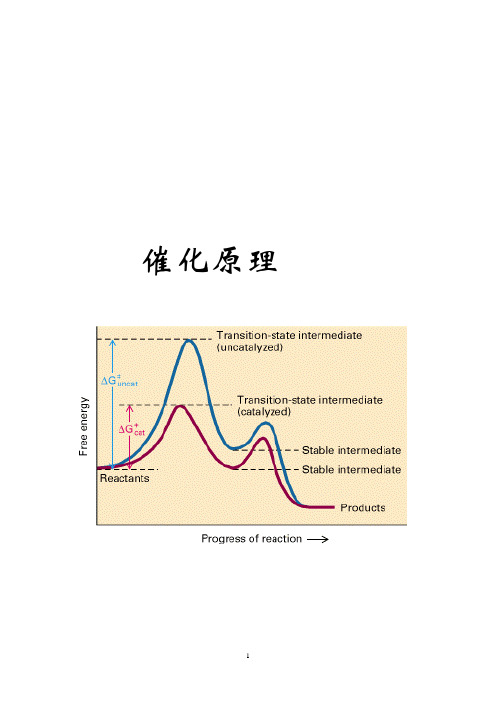 催化原理教案