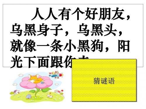 《影子》课件(共42张PPT)