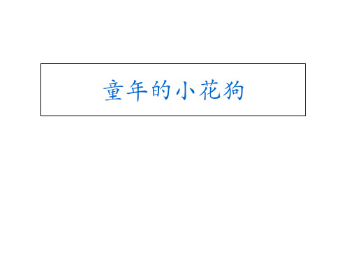 五年级下册语文课件《童年的小花狗》｜鄂教版 (共15张PPT)