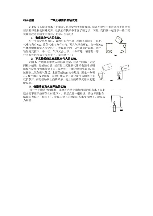 鲁教版九年级化学全册释疑解析：第6单元 二氧化碳性质实验改进