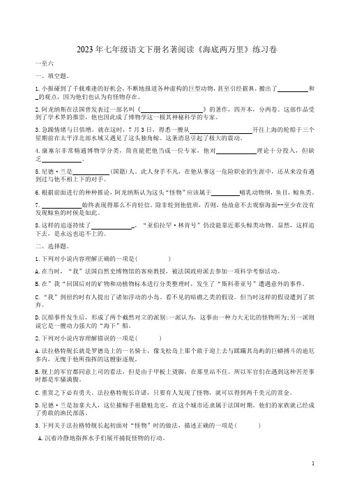 2023年七年级语文下册名著阅读《海底两万里》练习卷附答案解析