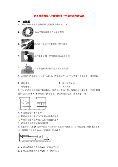 新苏科苏教版八年级物理第一学期期末考试试题