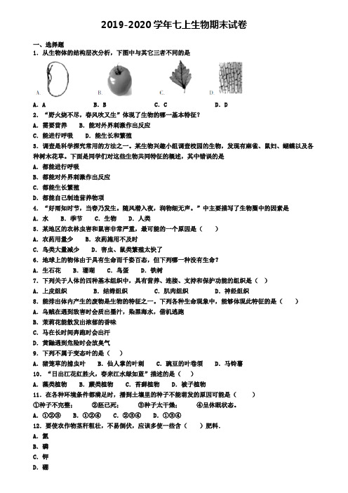 〖精选9套试卷〗安徽省滁州市2020年初一(上)生物期末质量跟踪监视模拟试题