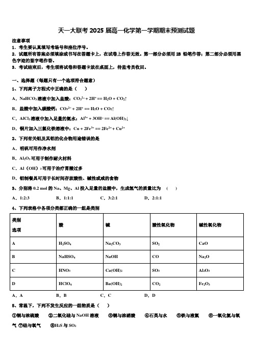 天一大联考2025届高一化学第一学期期末预测试题含解析