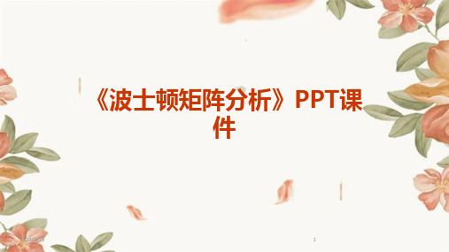 2024年《波士顿矩阵分析》PPT课件