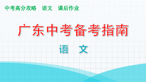 考前冲刺二讲练课件—广东省中考语文复习攻略