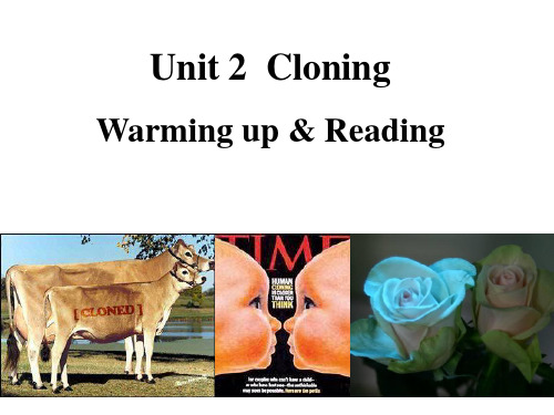 人教课标版高中英语选修8 Unit2 Warming up  and Reading (共32张PP