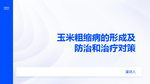 玉米粗缩病的形成及防治和治疗对策