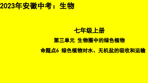 2023年安徽省中考生物专题总复习：绿色植物对水、无机盐的吸收和运输