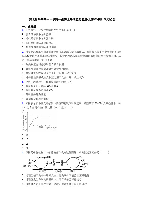 河北省乐亭第一中学高一生物上册细胞的能量供应和利用 单元试卷