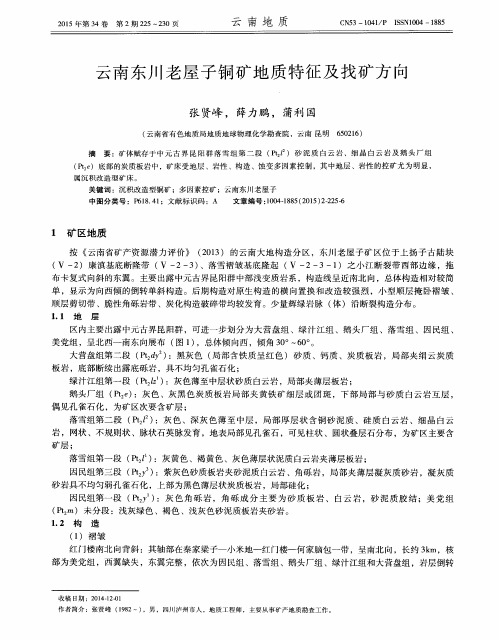 云南东川老屋子铜矿地质特征及找矿方向