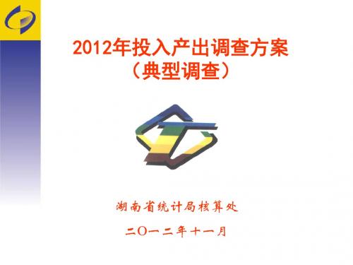 2012年投入产出调查方案(典型调查)