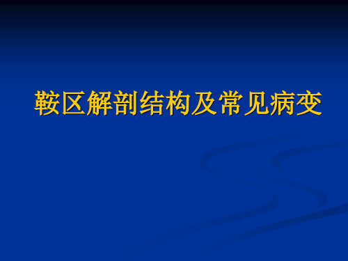 最新 鞍区解剖结构以及常见病变