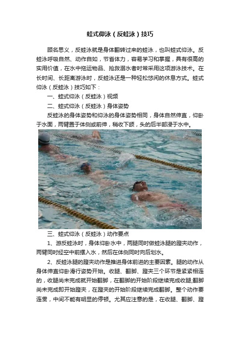 蛙式仰泳（反蛙泳）技巧