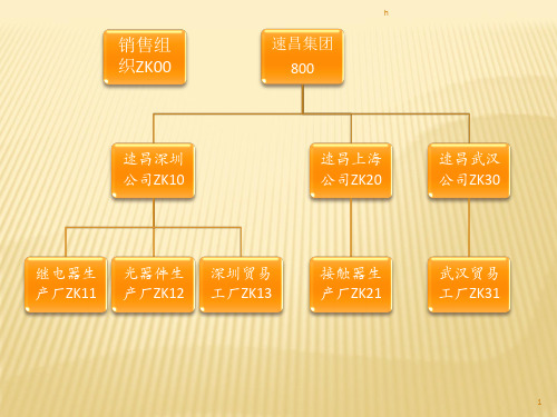 销售组织结构教学PPT