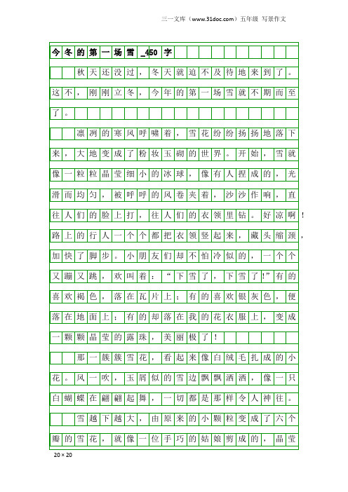 五年级写景作文：今冬的第一场雪_450字