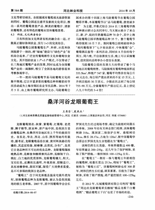 桑洋河谷龙眼葡萄王