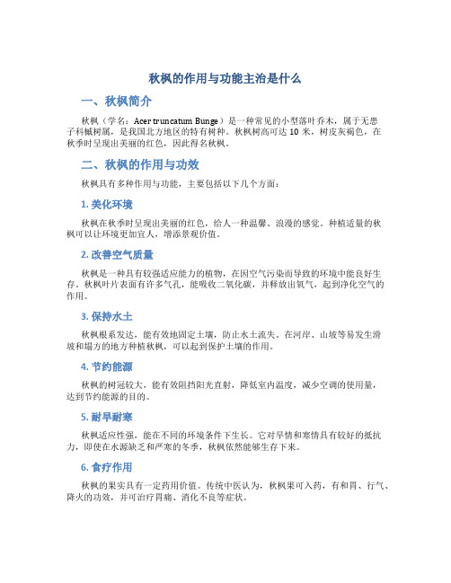 秋枫的作用与功能主治是什么