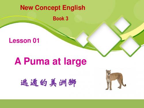 新概念3：Lesson 1    A puma at large