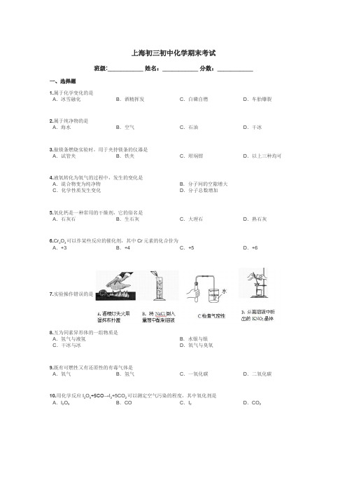 上海初三初中化学期末考试带答案解析
