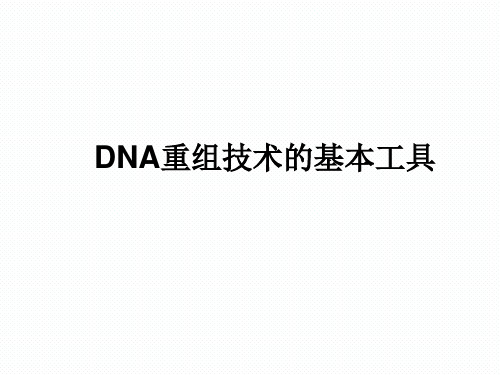 DNA重组技术的基本工具  课件