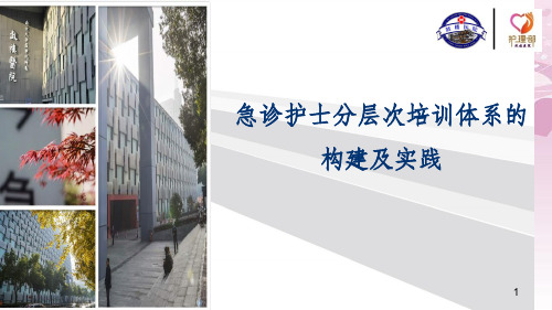 急诊护士分层次培训体系的构建及实践培训教材(PPT 64页)